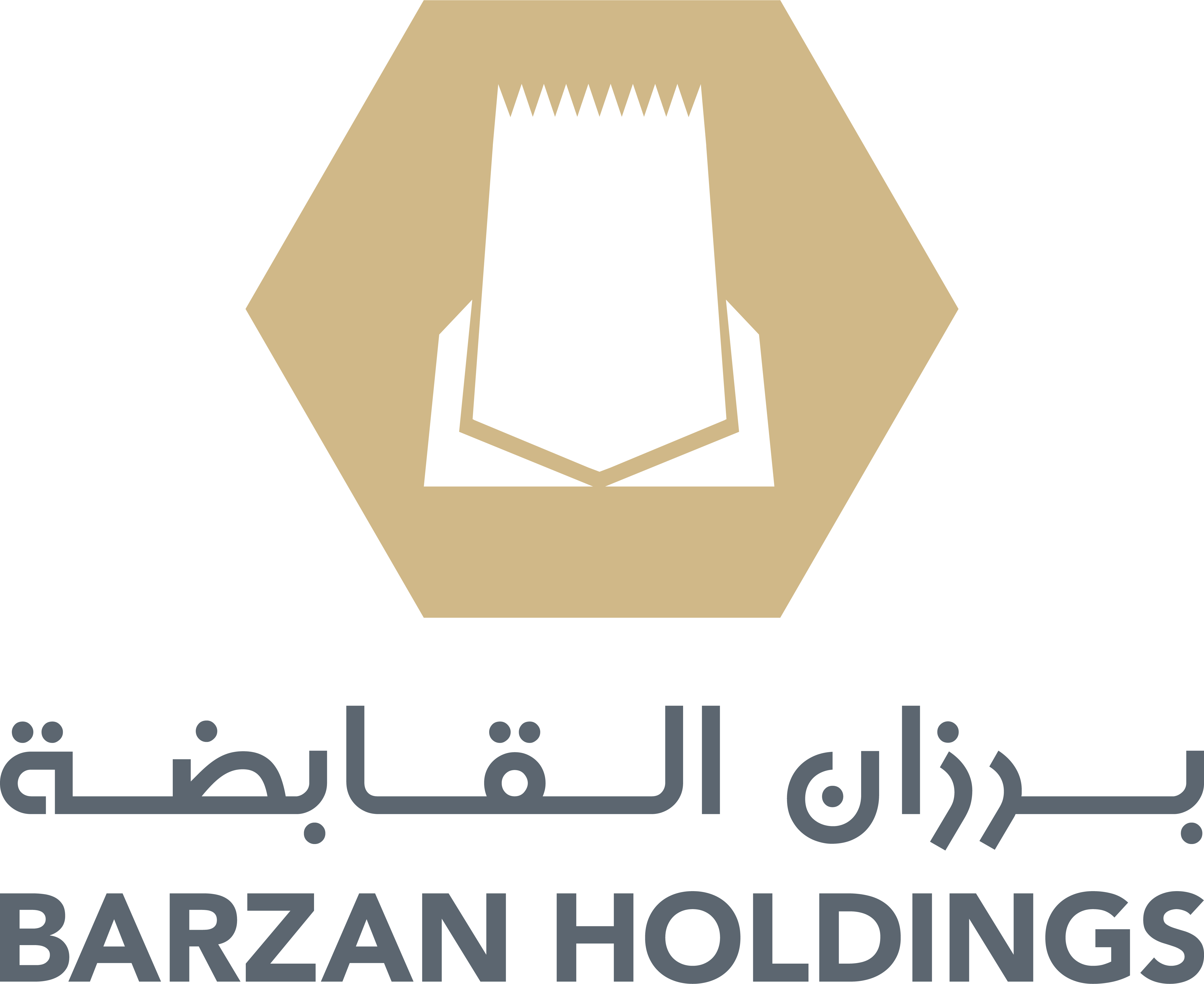 Barzan Holdings